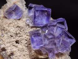 geologypage:  Fluorite | #Geology #GeologyPage #Mineral  Locality: Berbes mining area, Berbes, Ribadesella, Comarca Oriente, Asturias, Principality of Asturias  Spain   Specimen size: 7.8 × 5.1 × 2.8 cm  Main crystal size: 0.8 × 0.6 cm  Photo Copyright