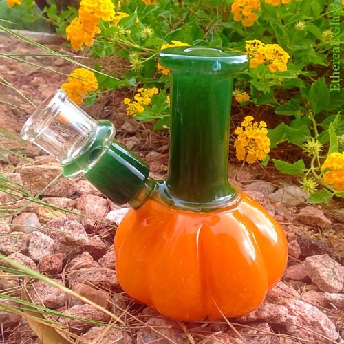 ethereal-algorhythm:  Pumpkin Mini Rig by EthereaL  blisslys