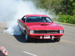 musclecardreaming:  Our family friend Ralph