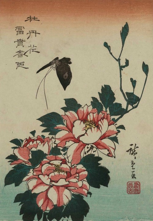 Butterfly and Peonies by Utagawa Hiroshige (Edo Period)