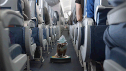digg:  Delta made a flight safety video filled with memes, and it’s actually kinda cute.