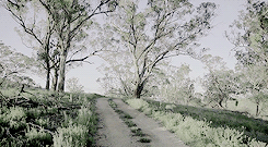 An untouched innocence, dazed by the sun, a fragment of lace, a starched new whiteness, secrets, lie