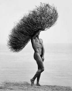 narcissusskisses:  Herb ritts 