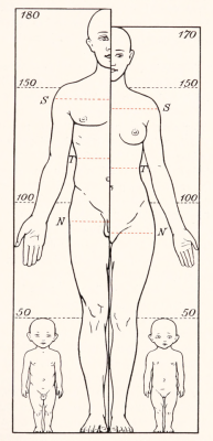 nemfrog:  The measurement of men, women and babies. Lebensalter und Geschlechter. 1926. 