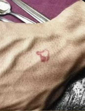 If U Know Who’s Hand/ Tattoo This Is Then We Can Be Friends 😁😁