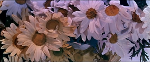 bleedhoney:‘My Fair Lady’ opening titles