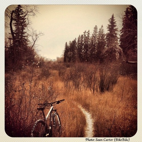 brodiebikes: #tbt This is what we all should be doing right now…. photo via/ BikeBikeYYC via Instagr