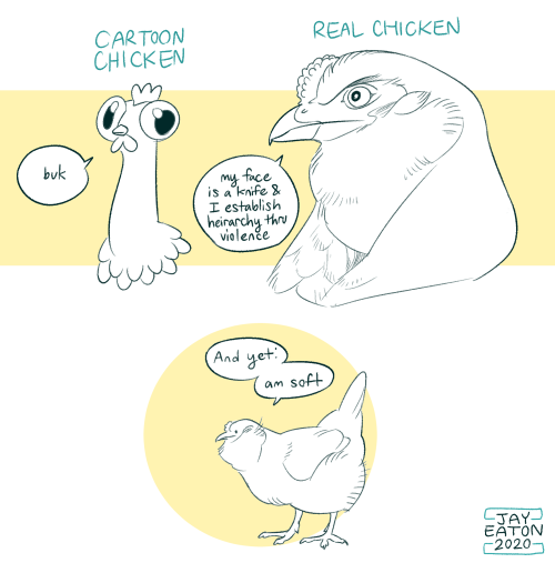 jayrockin:I’m frustrated by cartoon depictions of chickens, which in my experience with the ac