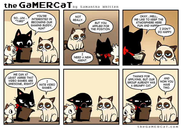 the GaMERCaT :: Cats  Gamer cat, Cat comics, Funny games