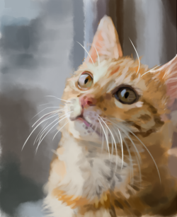 binart:  speedpaint of a kitty! &lt;3