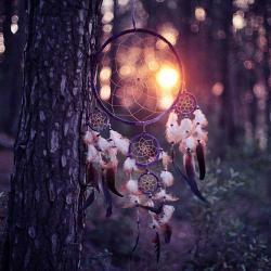 themadnessofchaos:  I really want a dream catcher… 