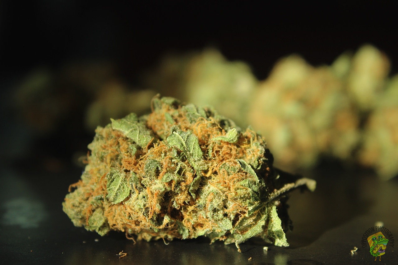 iamoppo:  Unknown Strain 