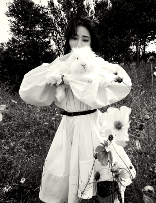 zhaoxiaotangs