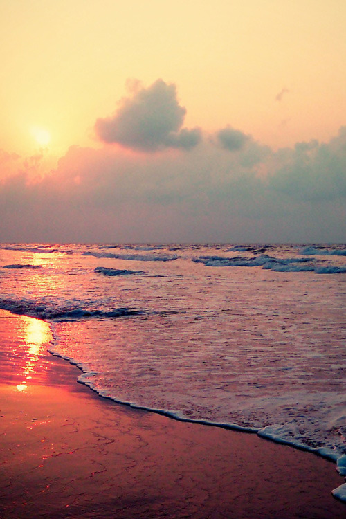 earthyday:  Sunny Side  by Vikram Mudaliar