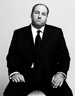 glamorncruelty-blog:  RIP James Gandolfini