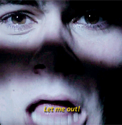 thedevilmonkey:  LET ME IN!