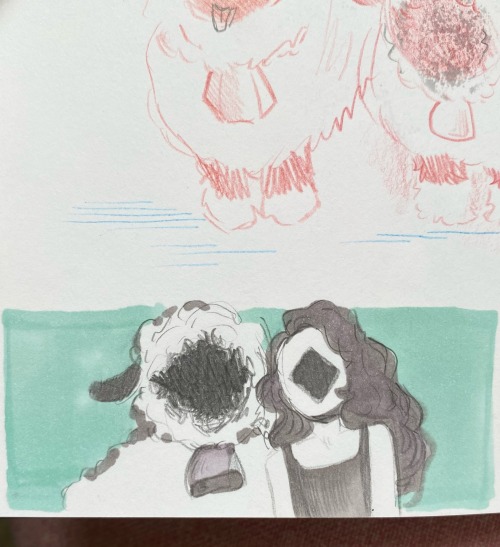 The Valais Blacknose Sheep Is Very Cute!