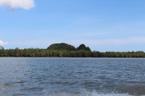 View on the way back.
