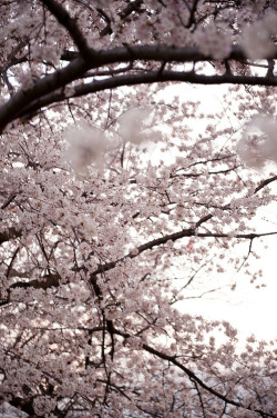 yudoku:  by Allan K H  