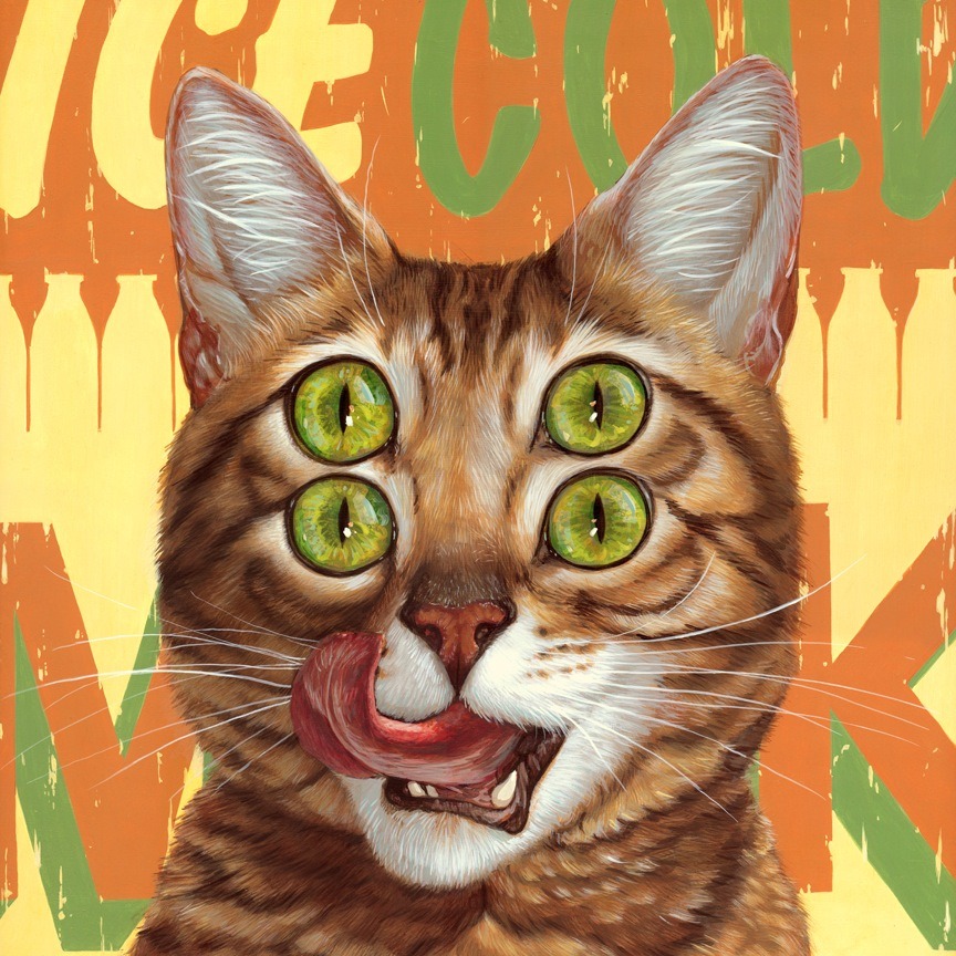 everythingstarstuff:Casey Weldon