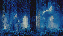 lotrlorien:middle-earth meme  [2/3 races]   ➳  elves 