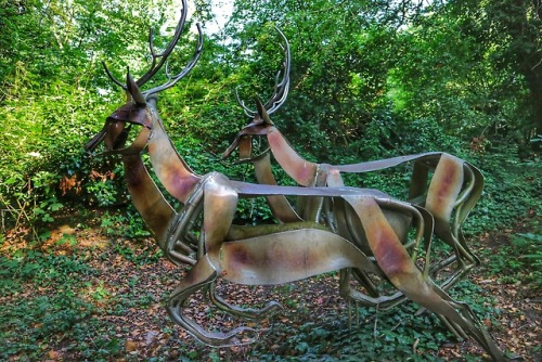 Deer Sculpture, Brungerley Park at Clitheroe, Lancashire, 26.7.18.