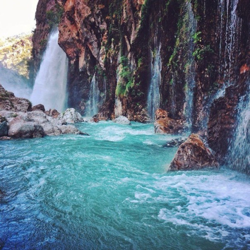 summer-spirit:  ☀🌴🌊