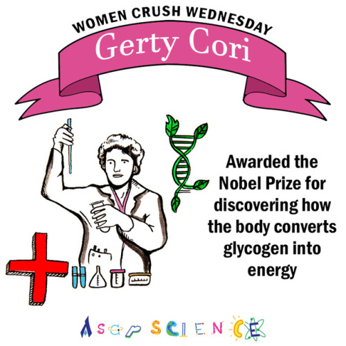 aspiringdoctors: asapscience: Today’s #WCW goes out to Gerty Cori and her husband for always s