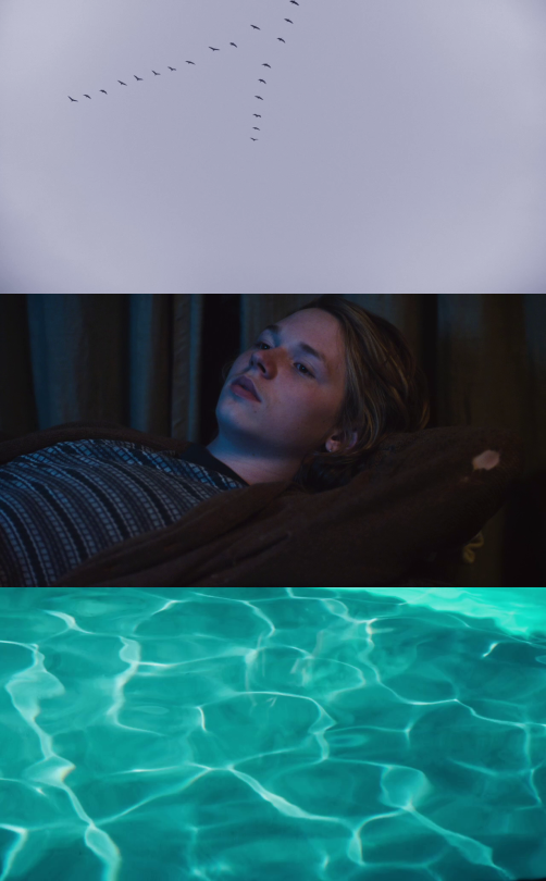 Films Seen In 2015 // Cinematography