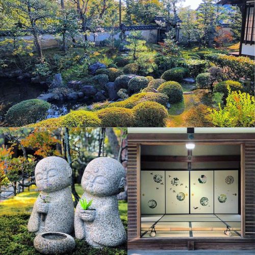 ＼おにわさん更新情報／ ‪[ 京都市右京区 ] 妙心寺 大雄院庭園 Myoshinji Daioin Temple Garden, Kyoto の写真・記事を更新しました。 ーー徳川家康の後妻・お亀の