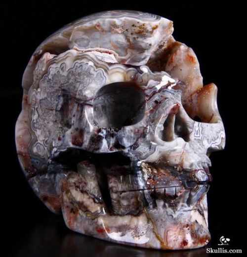 odditiesoflife:  The Coolest Gemstone & Crystal Skulls You Will Ever See Carved Ammonite Fossil Crystal Skull Ammonite Fossil Crystal Skull Agate Crystal Geode Skull Black Obsidian Skull with Moveable Jaw; Teeth Made from Australian Opal Quartz Rock