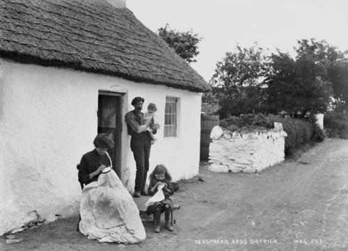 citizen69 - Photo set of old rural dwellings in Ulster at the turn...