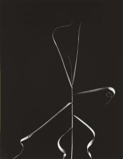 regardintemporel:  Harry Callahan - Aix-en-Provence,