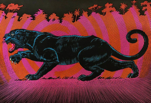 electripipedream: Black Panther, 1970s
