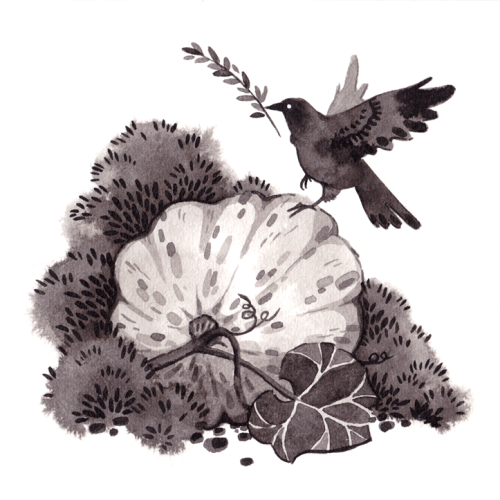 02. Inktober –– This fellow again? A lonesome jackdaw alights on a pumpkin before continuing his jou