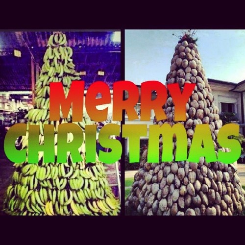 - #MerryChristmas to all the pacific islanders all over the globe. Stay safe n Have a happy holidays