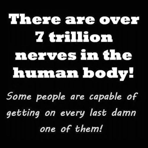 nicki718:  wolfstravelsinmind:  msexplorer:  Lmao … Truth!  True story…but I’m working on it.  Lol. 