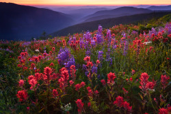 woodendreams:  Columbia River Gorge, Washington, US (by Jeremy Cram)