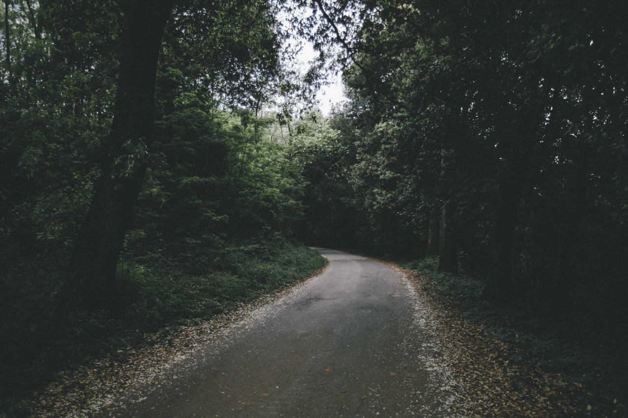 elenamorelli:  { the road to the nearest hill } 