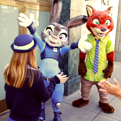 04.01.2016Disneybound as Judy Hopps