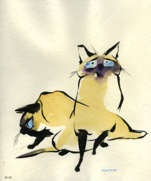 directedbychuckjones: Siamese cats, watercolor on Arches paper, 14″ x 11″, by Chuck Jone