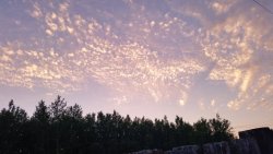 Flowersilk:  The Clouds Look Like Glitter Thrown Across The Sky