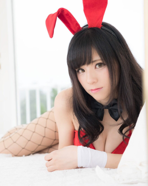 bunny cosplay