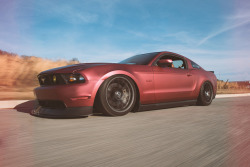 ford-mustang-generation:  Rolling with my