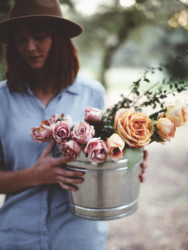 abrittann:  Dear Fall | Tessa Barton 