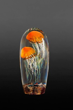 itscolossal:  Rick Satava’s Luminous Glass Blown Jellyfish Appear Suspended in Motion