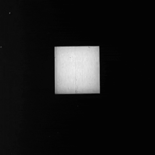 GIF Movie