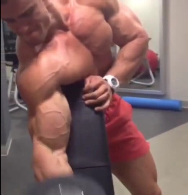 hejira33312:  Calum Von Moger