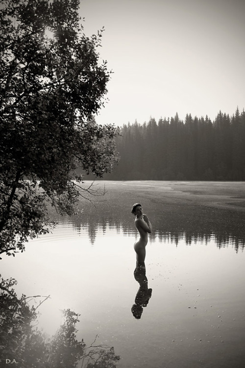 Glass Olive, Rossland 2014 - daveaharonian