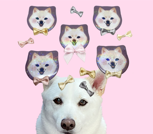 yes i made sparkly shiba buttons of my baby